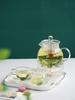 IwaiLoft Soothing Heat-Resistant Glass Teapot with Strainer, Tea for Two, Glass Teapot for Black Tea, Fruit, Leaf, Flower, and Craft Teas, Half