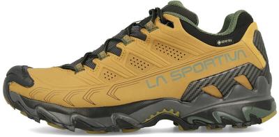 Wanderschuhe Ultra Raptor II Leder Goretex braun