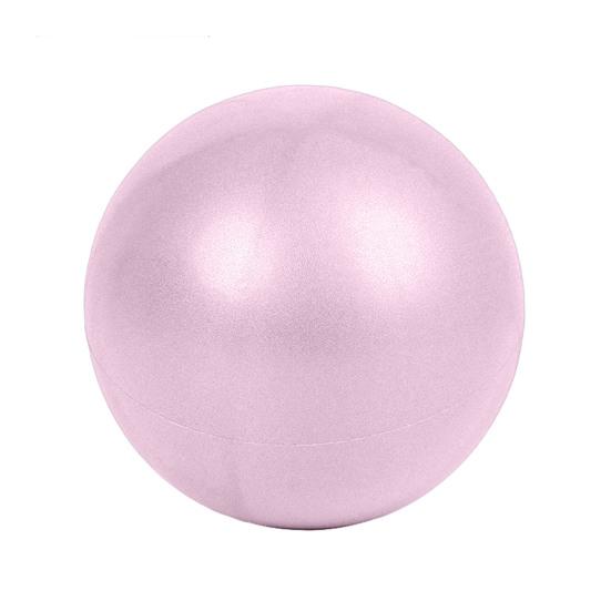 9,8 Zoll Hüteball für Hunde Haustier Aufblasbarer Ball Spielzeug Interaktives Spiel Bewegungsball Fördert die Körperliche Gesundheit für Kleine Mittlere Haustiere