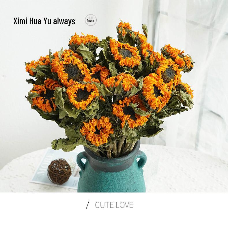 Sunflower Teddy Dried Flower Bouquet - Yunnan Natural Air-Dried Arrangement for Living Room Decor