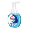 Walch Foam Antibacterial Hand Wash