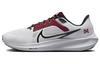 Air Zoom Pegasus 40 'Morehouse' DZ6002-100