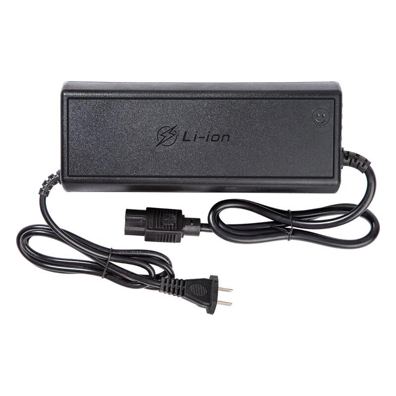 Gangwo Smart Lithium Battery Charger