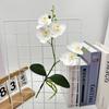 Phalaenopsis Flower Artificial Wedding Photography Props Party Gift Decorations