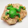 NOS Simulace Žáby Model dekorace Žáby Creative Tricky Vent Frogs Hračka