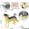 4D Insect Model Toy Set: Ladybug, Stag Beetle, Centipede, Ant, Fly, Mantis