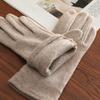 Windproof Women Winter Gloves Velvet Lined Warm Gloves Imitation Cashmere Gloves  for Winter Use