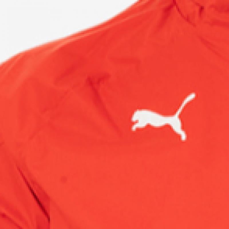 Puma GAlleria Puma Rain JAcket Windrunner Ac Milan All Weather JAcket 77224512