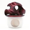 Fish Tank Landscaping Ornament, Betta Shelter House Aquarium Decoration, Hollow PLA Material Safe Fish Habitat Accessory
