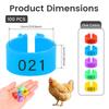 100Pcs Chicken Foot Rings Chicken Leg Bands with Number Multi-Color Numbered Identification Leg Rings Poultry Carry Foot Ring