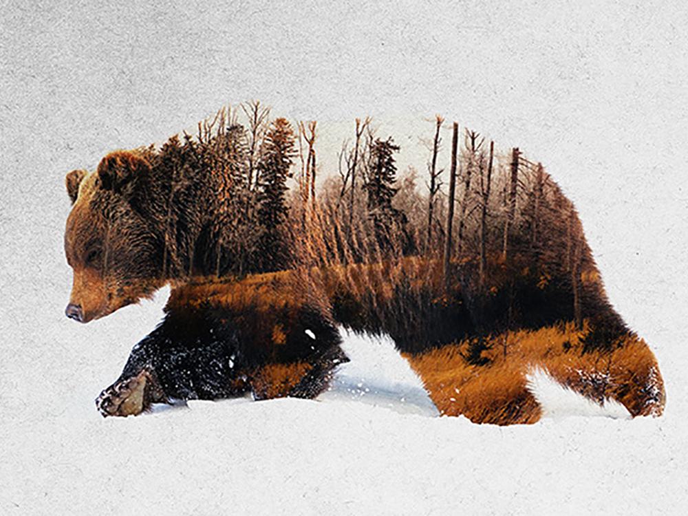 

DIY полный круг алмазная живопись вышивка крестиком 3D животное домашнее декоративное искусство алмазная живопись 5d алмазная живопись Full Round 25X37.5CM