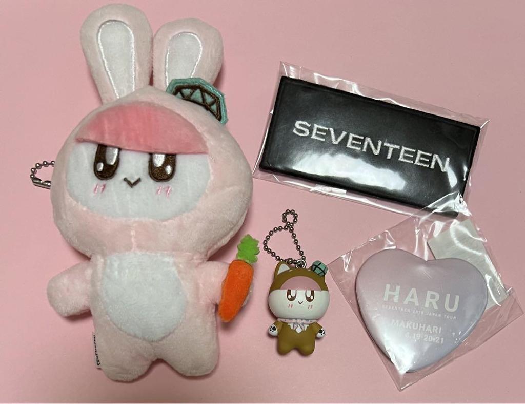 [USED] SEVENTEEN Bonbonyi Keychain