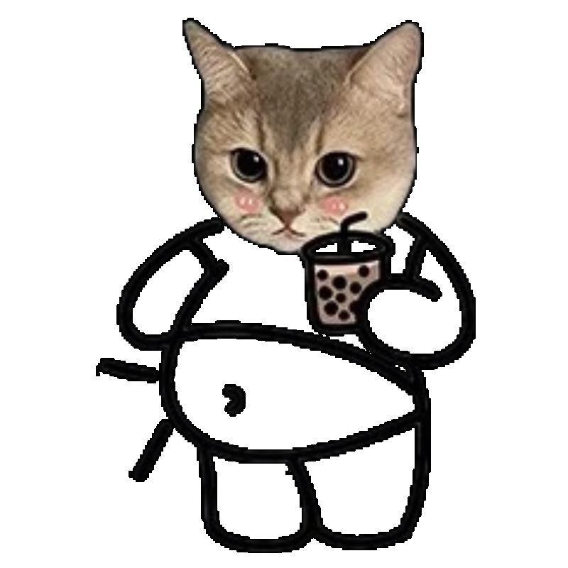 Oversized T Shirt Black Cat Face Print Casual Wear for Women Summer Fashion Loose Fit Streetwear Style