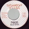7inch Record WAYNE JARRETT - Praise Jah NONE Thompson Sounds 2000 Jamaica Reggae, Ska & Dub Used