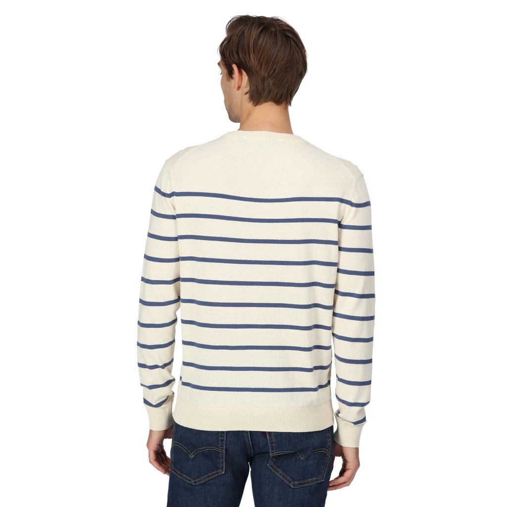 Regatta Mens Cautley Striped Knitted Jumper