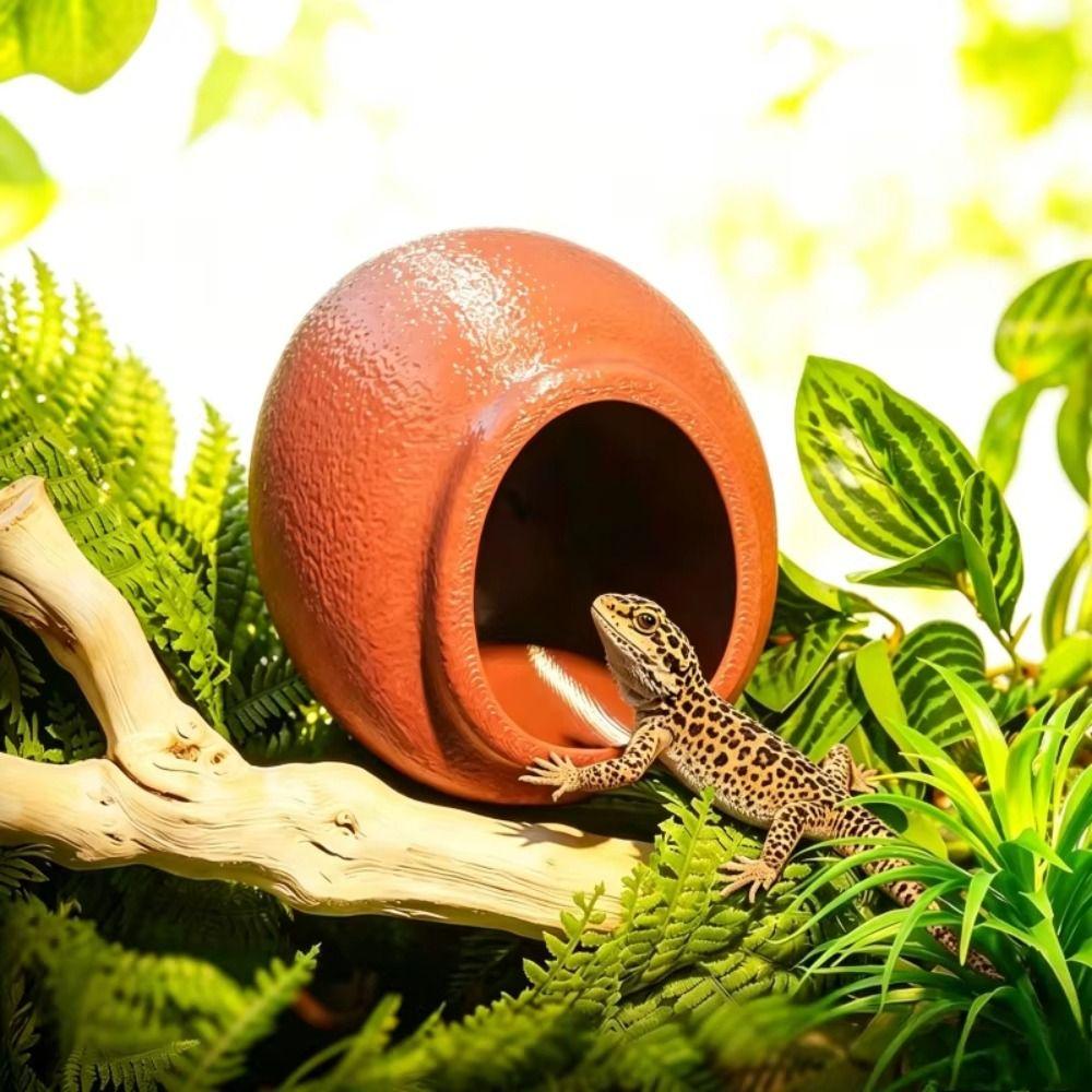 Wall Mounted Reptile Hideouts Suction Cup Climbing Habitat Terrarium Decoration Vivarium Décor