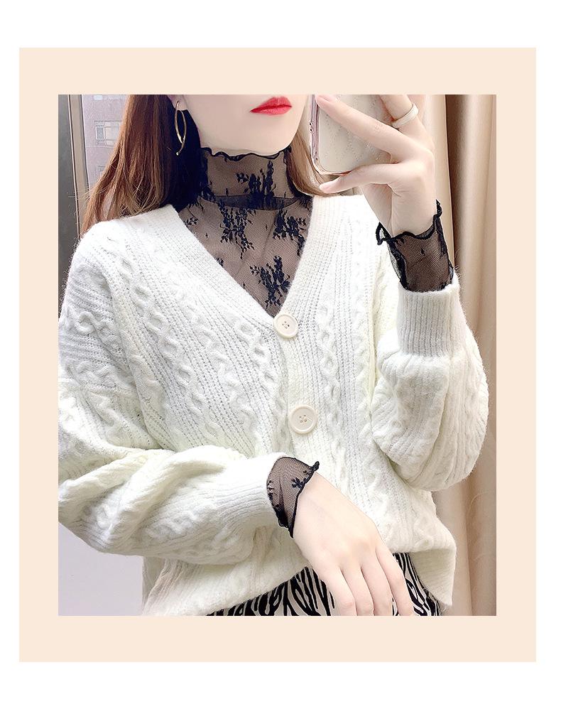 Women's High-End Lace Base Layer Top, Autumn/Winter, Velvet Warmth, Mesh Jacquard Collar, Slightly Sheer, Stylish Design