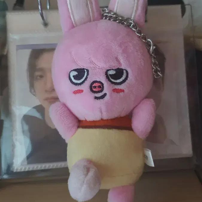 

Сукиджу Пудинг Свиной