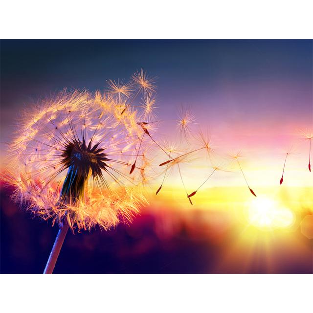 5D Diamond Painting Flower Rhinestone Picture Full Round Diamond Embroidery DIY Mosaic Art Decoration Rhinestone Gift