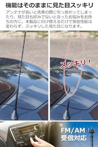 [SOY’S F] Car Antenna FM/AM Short Antenna Car Antenna