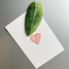 Plant Leaf Pattern Acrylic Refrigerator Magnets - Soft, Magnetic, Decorative Patches