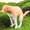 Cross-Border Animal Dog Model Toy: French Bulldog, Labrador, Shiba Inu, Corgi