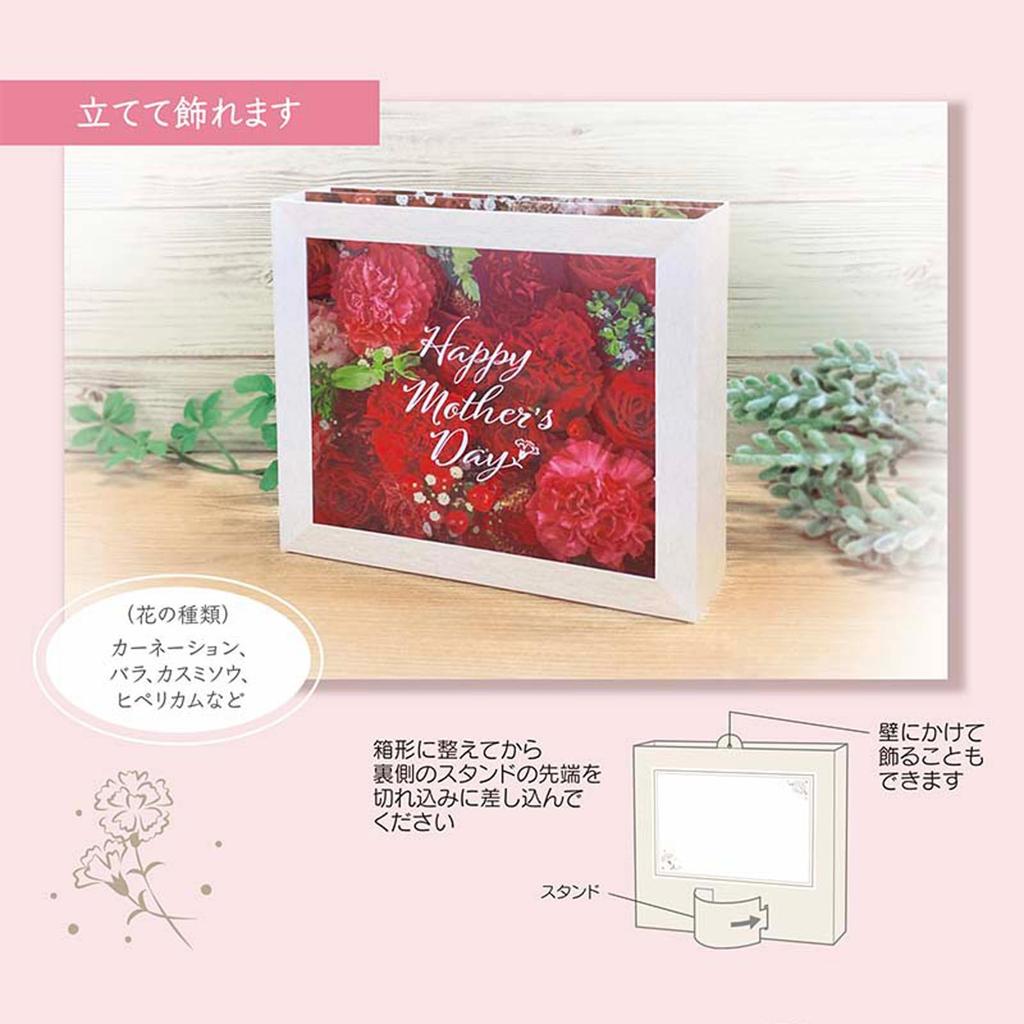Sanrio Greeting Message Day Flower JMD 613983 Card, Card, Mother's Box, 16-5,