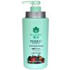 Fenghua Moisturizing Herbal Shampoo & Conditioner Set