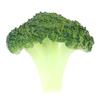 Green Fake Broccoli Slice PVC Simulation Broccolis House Kitchen Lifelike Broccolis  Kitchen Decor