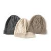Cashmere Autumn and Winter New Style Women's High End Knitted Warm Solid Color Jacquard Ear Protection Hat Knitted Casual Baotou Hat