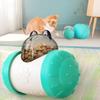 Brain Game Puppy Swing Leak Feeder Treat Dispenser Cat Slow Feeder Toys  Pet