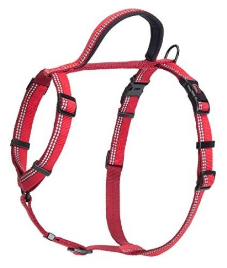 collier halti