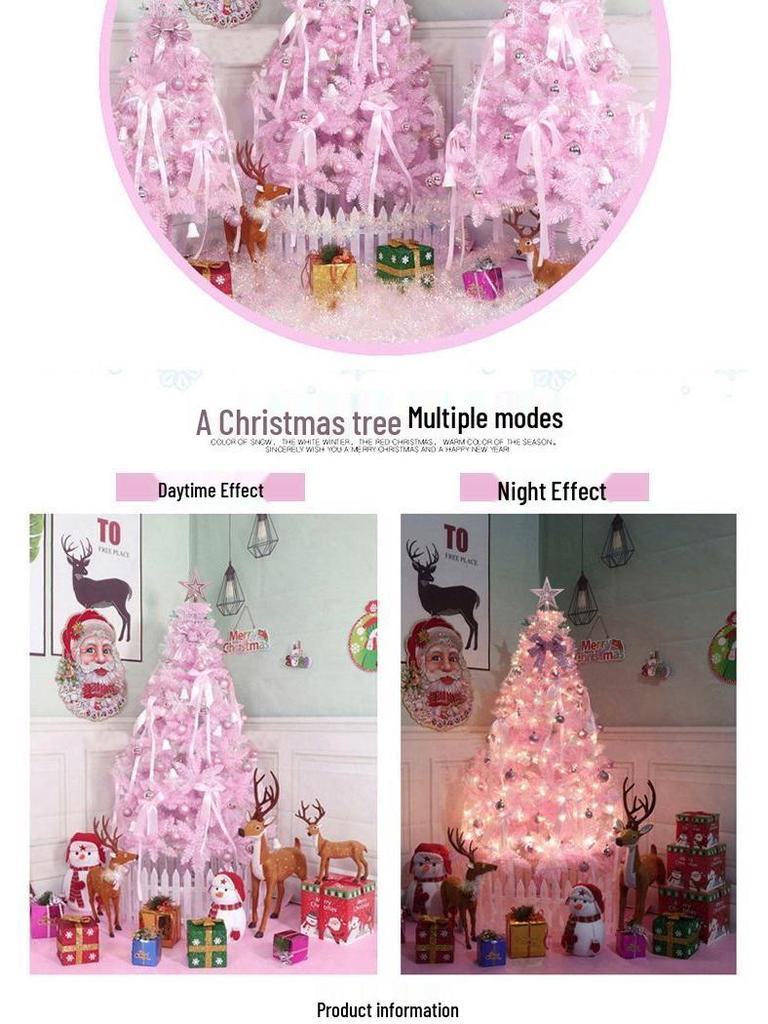 Christmas Tree Set with Window Decorations (60cm, 1.2m, 1.5m, 1.8m, 2.1m)