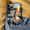 Sphynx Sphinx Cat Soft Phone Case for iPhone 17 Air 16e Pro max 15 Pro 13 14 Plus 11 12 MagSafe Magnetic Coque