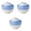 Set of 3 Blown Ink Dessert Bowls x Reinforced Porcelain Simmered Food Bowls by Setomonohonpo Ball-Shaped [10.5 9.5 cm]