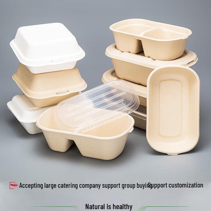 Eco-Friendly Rectangular Pulp Takeout Containers with Lids