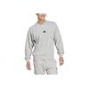Adidas Essentials Feelcozy Fashion Simple Pullover Long Sleeve Sweatshirt Men Sweatshirt Gray JE3828