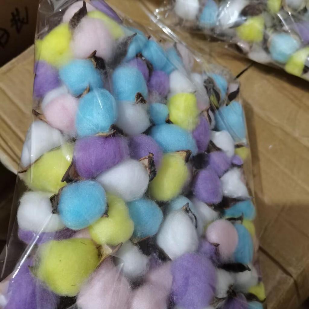 Natural Dried Cotton Flower Branches - 6 or 10 Heads, Preserved Kapok for Home Decoration & Christmas Decor