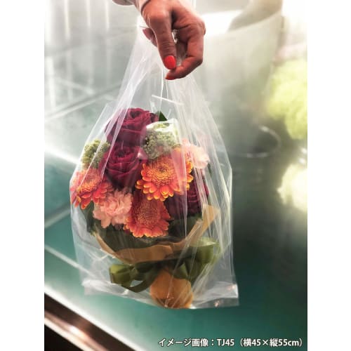 Household Japan Clear Plastic Shopping Bags with Handles, Sizes 40 (West Japan), 30 (East Japan), Heavyweight, 0.04mm Thick (Case Sold), TJ40, 50 Bags