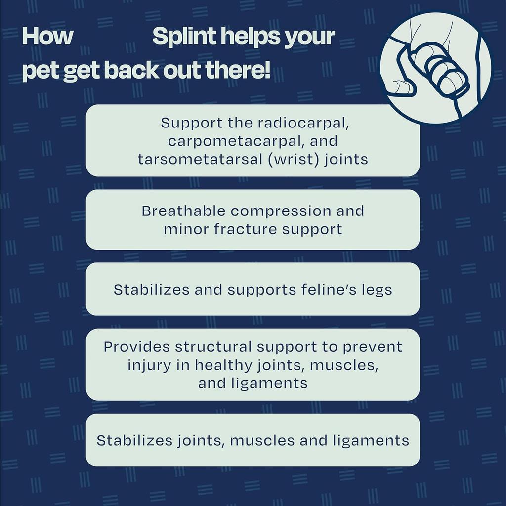 Katt Frambensstöd för Skaderehabilitering - Justerbar Husdjursstödärm för Led, Ligamentskada - Mjukt Skyddande Omslag