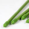 6 Pcs Plant Support Stakes Extendable Support Stakes Orchid Sticks with Ring Clips for Indoor Outdoor Plant Tomato Vegetables Monstera