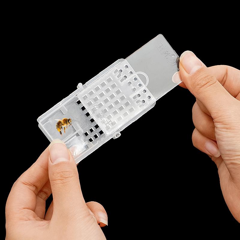 10 Pcs Queen Bee Cages Transparent Push-pull Queen Cage Bee Transport Prisoner Box Beekeeping Apiculture Beekeeper Rearing Tools