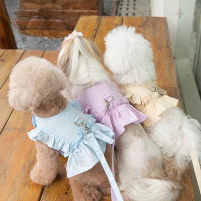 Koronkowa spódniczka Szelki smycz do chodzenia z psem Kot Kamizelka Ubrania Teddy Yorkshire Schnauzer Maltańczyk Bichon Akcesoria dla psa Obroże dla psa