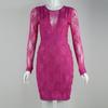 Elegant Rose Red Mesh Lace Bodycon Dress