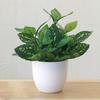 Lifelike Artificial Foliage Plant Add a Breath of Fresh Air To Your Space
