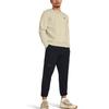 Under Armour Solid Color Training Crew Neck Long Sleeve Sweatshirt Men sweatshirt Dusty-Pink Gray 1381688-273