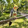 Comfortable Plush Bird Diaper Warm Bird Harness Nappy Washable Parrot Poop Bag  Winter Season