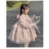 Kids Girls Long Sleeve Lolita Princess Puffy Casual Children Dress