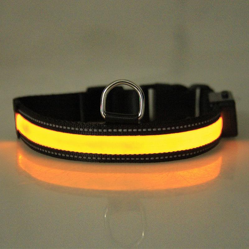 solar dog collar