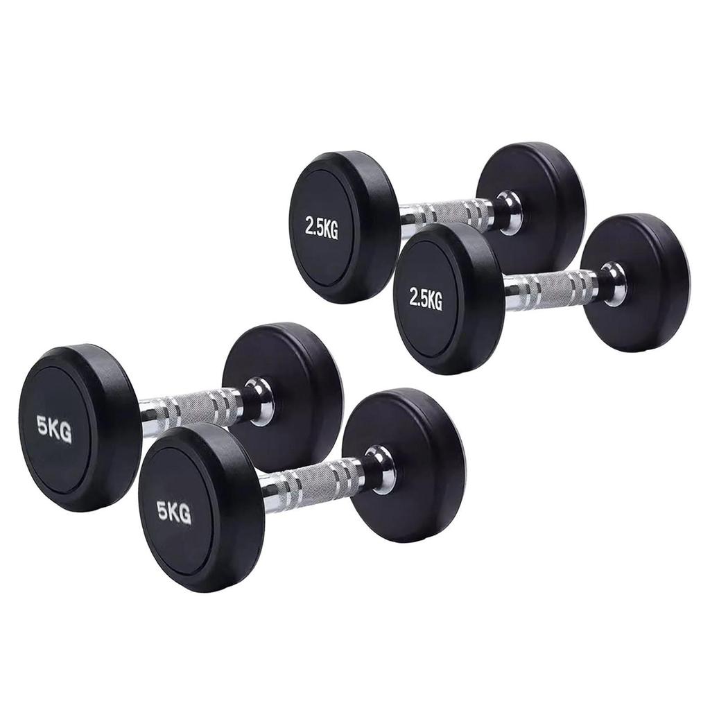 2 Pieces Round Dumbbell Exercise Fitness Women Hand Weights for Strength Training Stainless